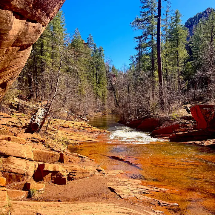 A creek running over red rock between pines on the West Fork trail